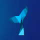 SeaCrypt Fish