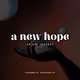 A New Hope - NFT Journey - old