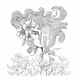 Zodiac women