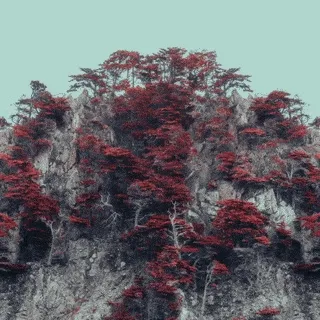 Anomalies Collection by Jeff Mihaly