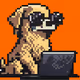 Last Crypto Dog Collection