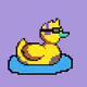 Dandy Ducks Club