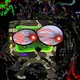 KripticComputers