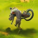JungleBikers