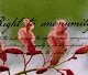 Freedom Flowers
