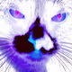 Serious Cat Collection