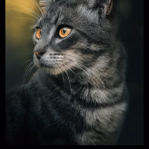 Recurrence Open Edition