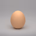 Eggnimal