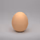 Eggnimal