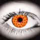 Pizza in the eye of the beholder