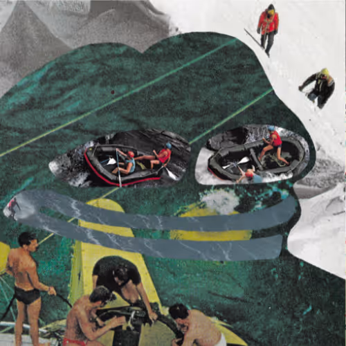 2 frog is life floor 0.14