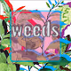 scottie_g. weeds
