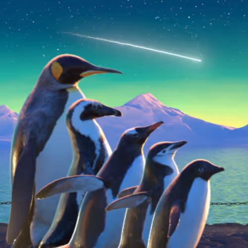 Five Penguins by Gavin Shapiro