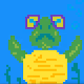 Exiom Turtle Collection