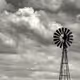 Shades of Gray #0