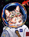 Paintings By CMOR