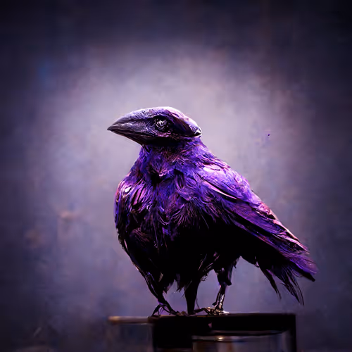 Nightmare Raven