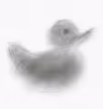 LazzyDuck