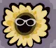 FunFlowers