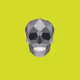 Skull zX
