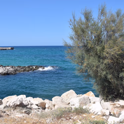 TRAVELING & PHOTO - old