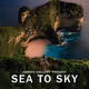 Sea To Sky - Limited Editions