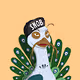 Snobiety Peacocks