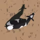 HOWNOWBLeUCOW (Proof Of Steak)