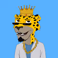 The Rich Jaguarz Collection