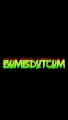 BomDotCom