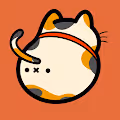 CAT ASS.