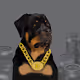 Cozy Pet Project - Crypto Pups