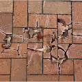 Repairing The City