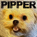 Pip the Mup