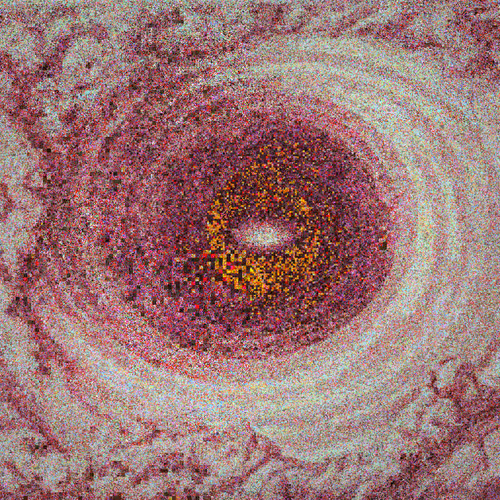 Swallow, Only Shallow