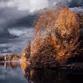 Nature - A forgotten beauty
