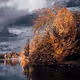 Nature - A forgotten beauty
