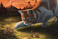 Satoshicode cat collection - old