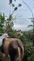 Off Trail Colombia - old