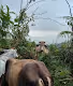 Off Trail Colombia - old