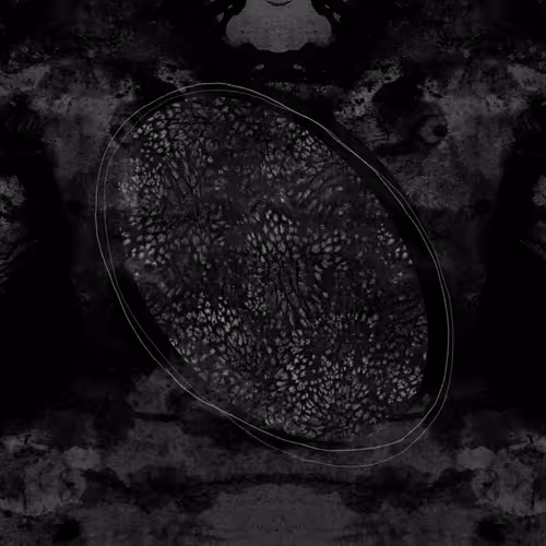 collabs - 2y8UtGgYwe