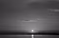 Sustained Investigation: Black and White