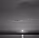Sustained Investigation: Black and White
