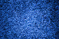 Red or Blue Fuzz
