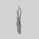 Still Lifes Studies