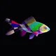 CryptoFish