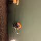 Adogmadrowned