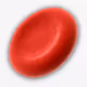 Red blood cell