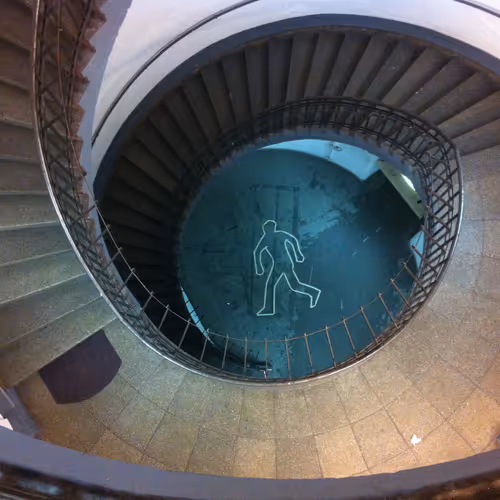 W.H. Stag Photography