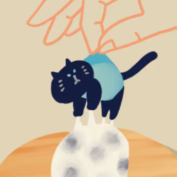 The strange world of small cats